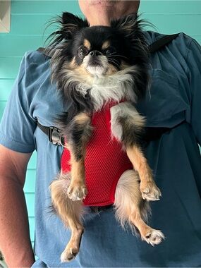 Red Mesh Front-Carrier Dog Harness